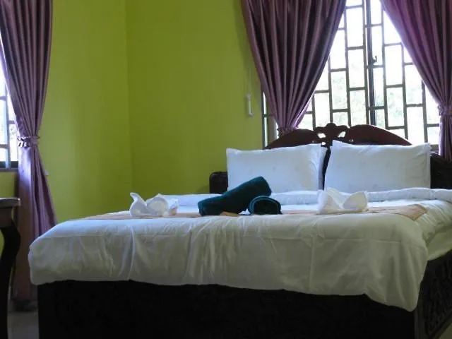 Angkor Sandra Siem Reap